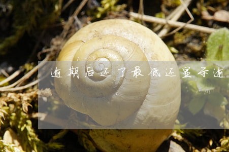 逾期后还了最低还显示逾期吗
