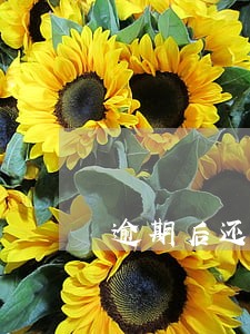 逾期后还会自动扣除利息吗 逾期后还会自动扣除利息吗