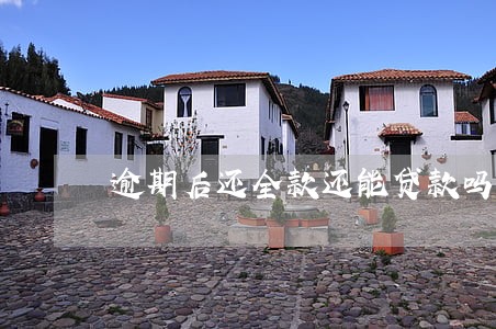 逾期后还全款还能贷款吗 逾期后还全款还能贷款吗