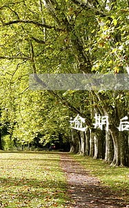 逾期后还全部违法吗 逾期后还全部违法吗