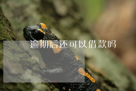 逾期后还可以借款吗 逾期后还可以借款吗