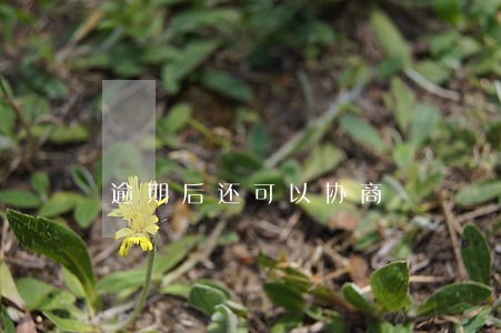 逾期后还可以协商 逾期后还可以协商