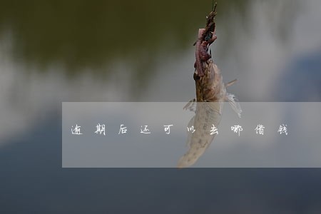 逾期后还可以去哪借钱 逾期后还可以去哪借钱