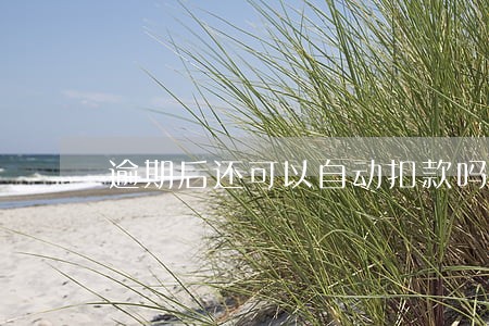 逾期后还可以自动扣款吗 逾期后还可以自动扣款吗