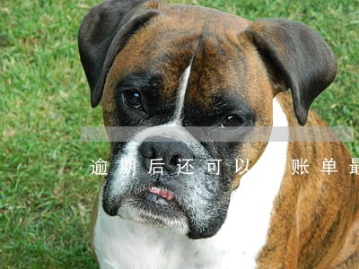 逾期后还可以还账单最低吗 逾期后还可以还账单最低吗