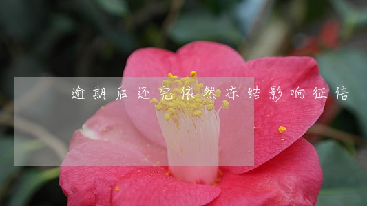 逾期后还完依然冻结影响征信 逾期后还完依然冻结影响征信