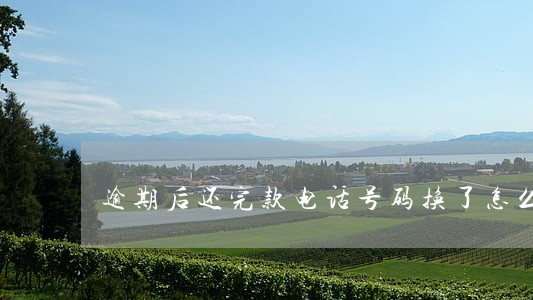 逾期后还完款电话号码换了怎么办 逾期后还完款电话号码换了怎么办