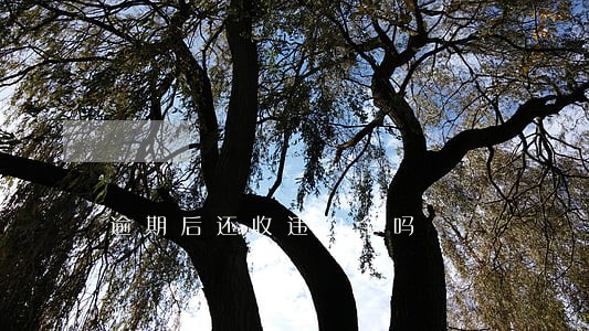逾期后还收违约金吗 逾期后还收违约金吗
