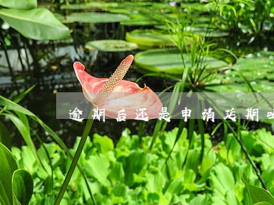 逾期后还是申请延期吗