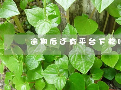 逾期后还有平台下款吗 逾期后还有平台下款吗