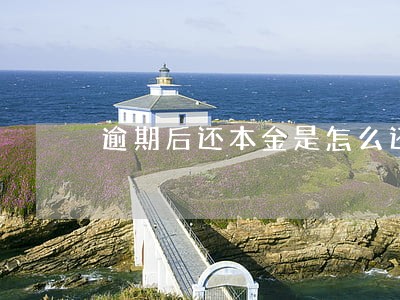 逾期后还本金是怎么还的 逾期后还本金是怎么还的