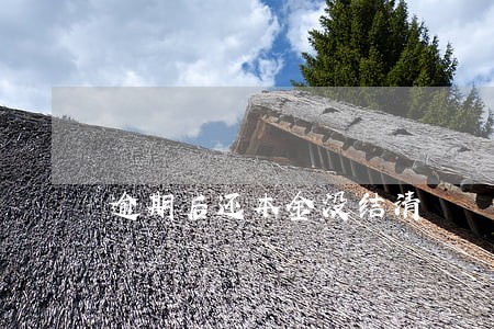 逾期后还本金没结清