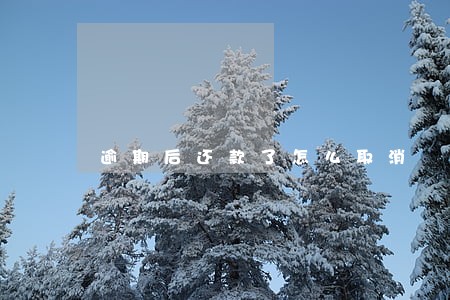 逾期后还款了怎么取消 逾期后还款了怎么取消