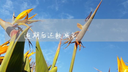逾期后还款减免 逾期后还款减免
