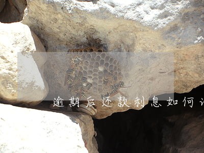 逾期后还款利息如何计算 逾期后还款利息如何计算