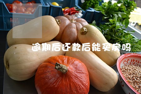 逾期后还款后能买房吗 逾期后还款后能买房吗