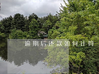 逾期后还款如何计算