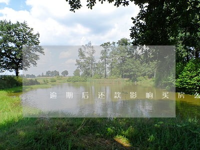 逾期后还款影响买房么