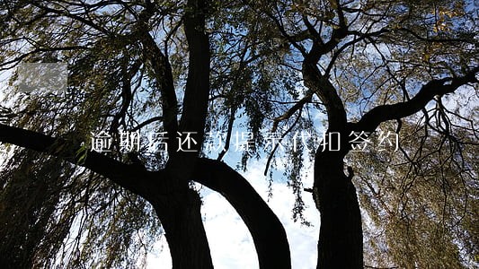 逾期后还款提示代扣签约 逾期后还款提示代扣签约