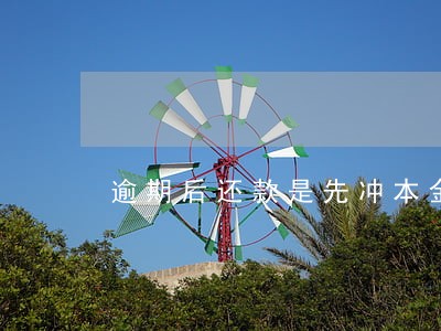 逾期后还款是先冲本金还是先冲息 逾期后还款是先冲本金还是先冲息