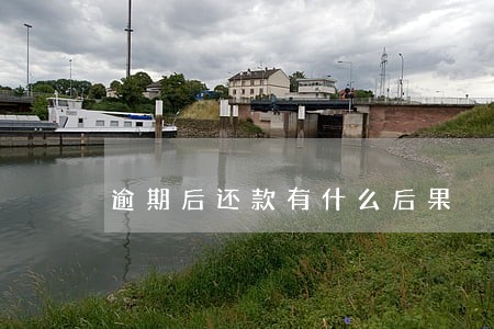 逾期后还款有什么后果 逾期后还款有什么后果
