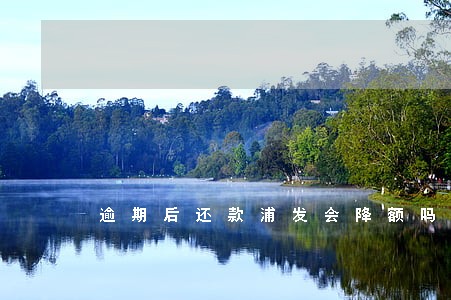 逾期后还款浦发会降额吗 逾期后还款浦发会降额吗