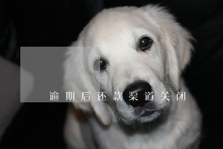逾期后还款渠道关闭 逾期后还款渠道关闭