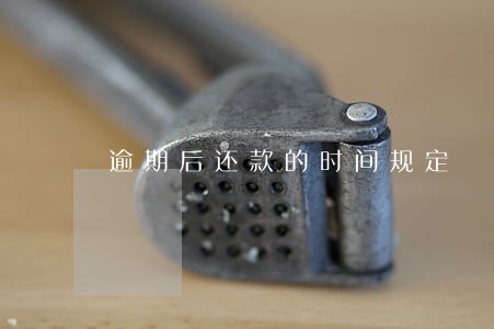 逾期后还款的时间规定 逾期后还款的时间规定