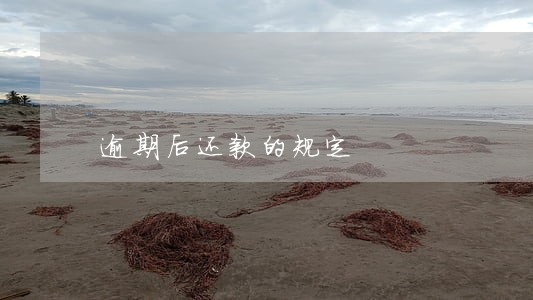 逾期后还款的规定 逾期后还款的规定