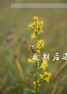 逾期后还款能分期买车吗 逾期后还款能分期买车吗