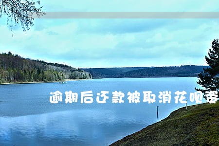逾期后还款被取消花呗资格