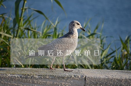 逾期后还款账单日 逾期后还款账单日