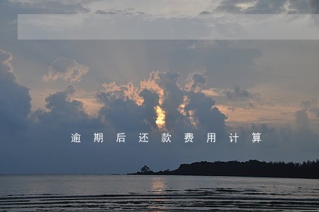 逾期后还款费用计算