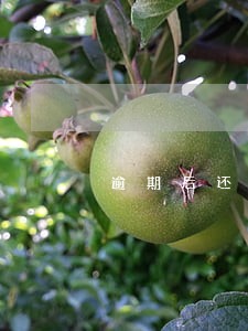 逾期后还款还能借钱吗 逾期后还款还能借钱吗
