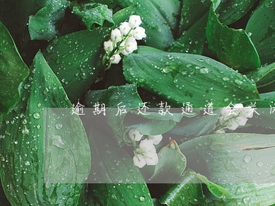 逾期后还款通道会关闭吗 逾期后还款通道会关闭吗