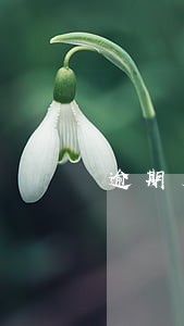逾期后还款额度会恢复吗 逾期后还款额度会恢复吗