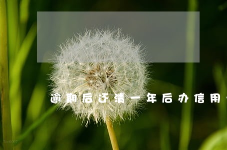逾期后还清一年后办信用卡 逾期后还清一年后办信用卡
