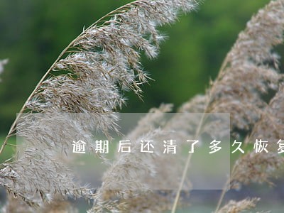逾期后还清了多久恢复征信 逾期后还清了多久恢复征信