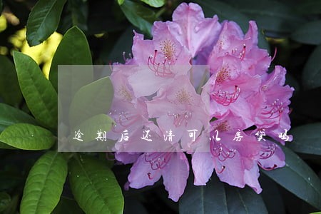 逾期后还清可以房贷吗 逾期后还清可以房贷吗