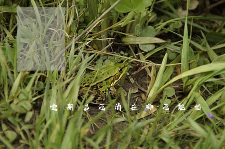 逾期后还清在哪还能借