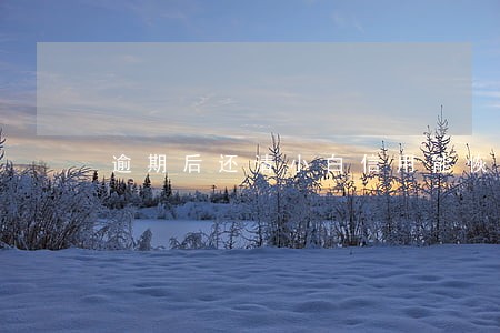 逾期后还清小白信用能恢复呢 逾期后还清小白信用能恢复呢