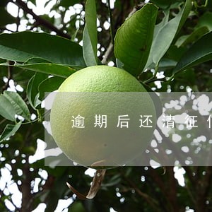 逾期后还清征信受影响吗 逾期后还清征信受影响吗
