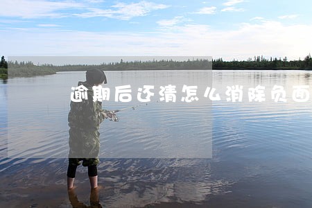 逾期后还清怎么消除负面记录 逾期后还清怎么消除负面记录