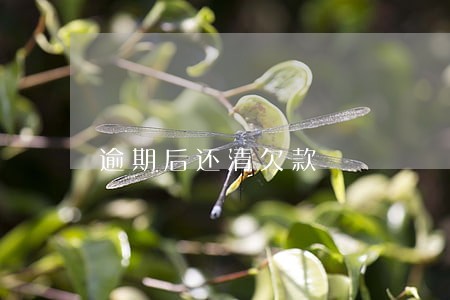 逾期后还清欠款 逾期后还清欠款