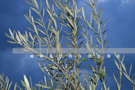 逾期后还清注销信用卡