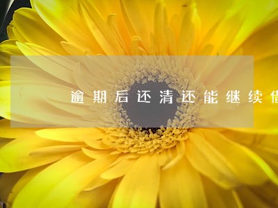 逾期后还清还能继续借贷的小额 逾期后还清还能继续借贷的小额
