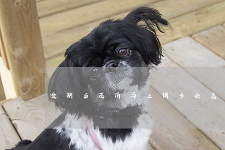逾期后还清马上销卡会怎么样 逾期后还清马上销卡会怎么样