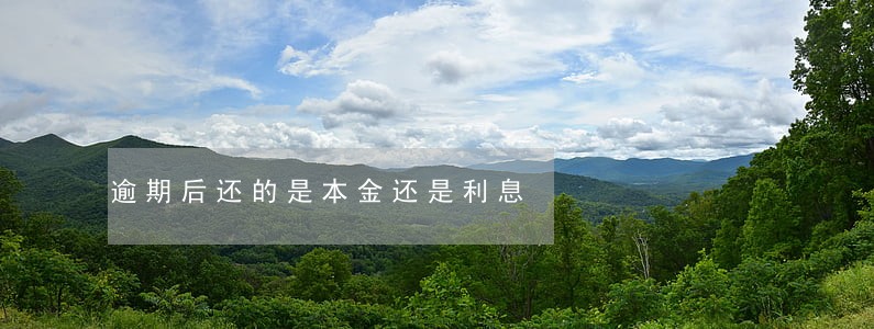逾期后还的是本金还是利息 逾期后还的是本金还是利息