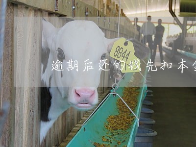 逾期后还的钱先扣本金的利与弊