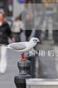 逾期后还的钱算不算归还本金 逾期后还的钱算不算归还本金
